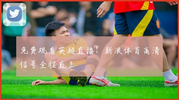 免费观看英超直播！新浪体育高清信号全程直击