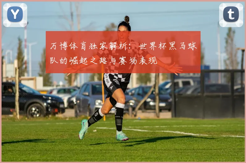 万博体育独家解析：世界杯黑马球队的崛起之路与赛场表现