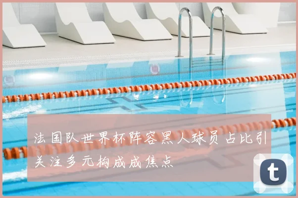 法国队世界杯阵容黑人球员占比引关注多元构成成焦点
